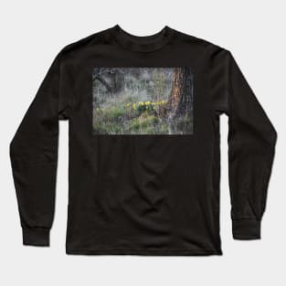 Daffodils  growing beside a tree Long Sleeve T-Shirt